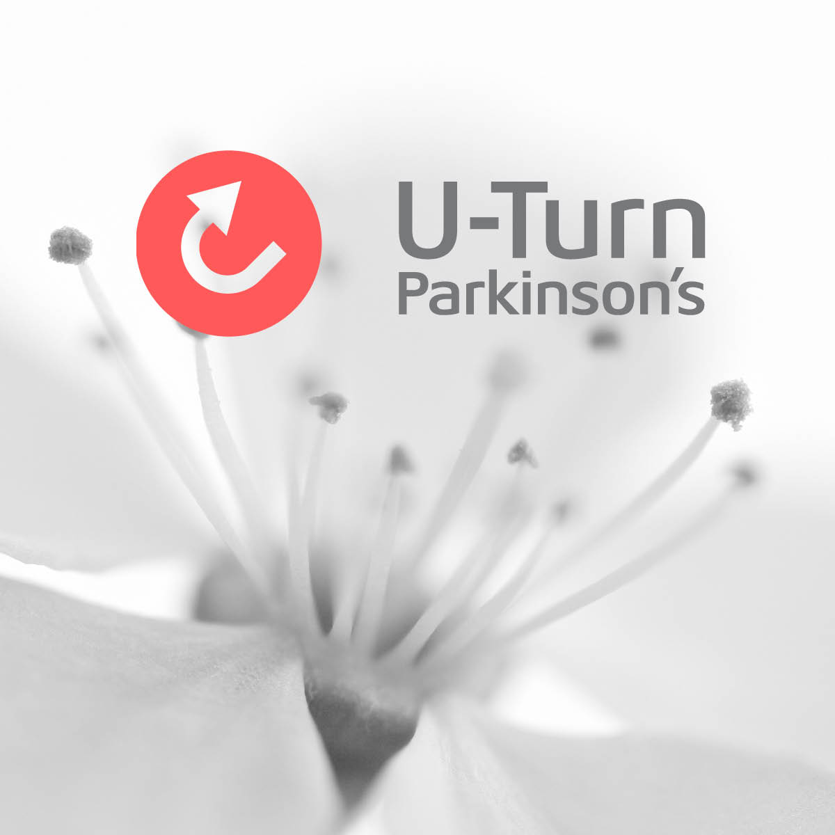 U-Turn_Parkinsons_002